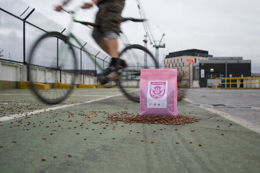 Coffee Fixed Gear Bike